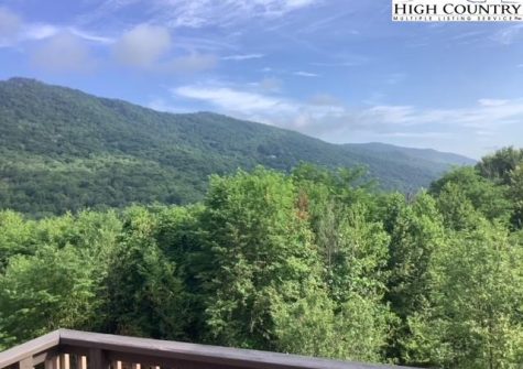 471 Adams Apple Drive Unit #2, Banner Elk, NC 28604